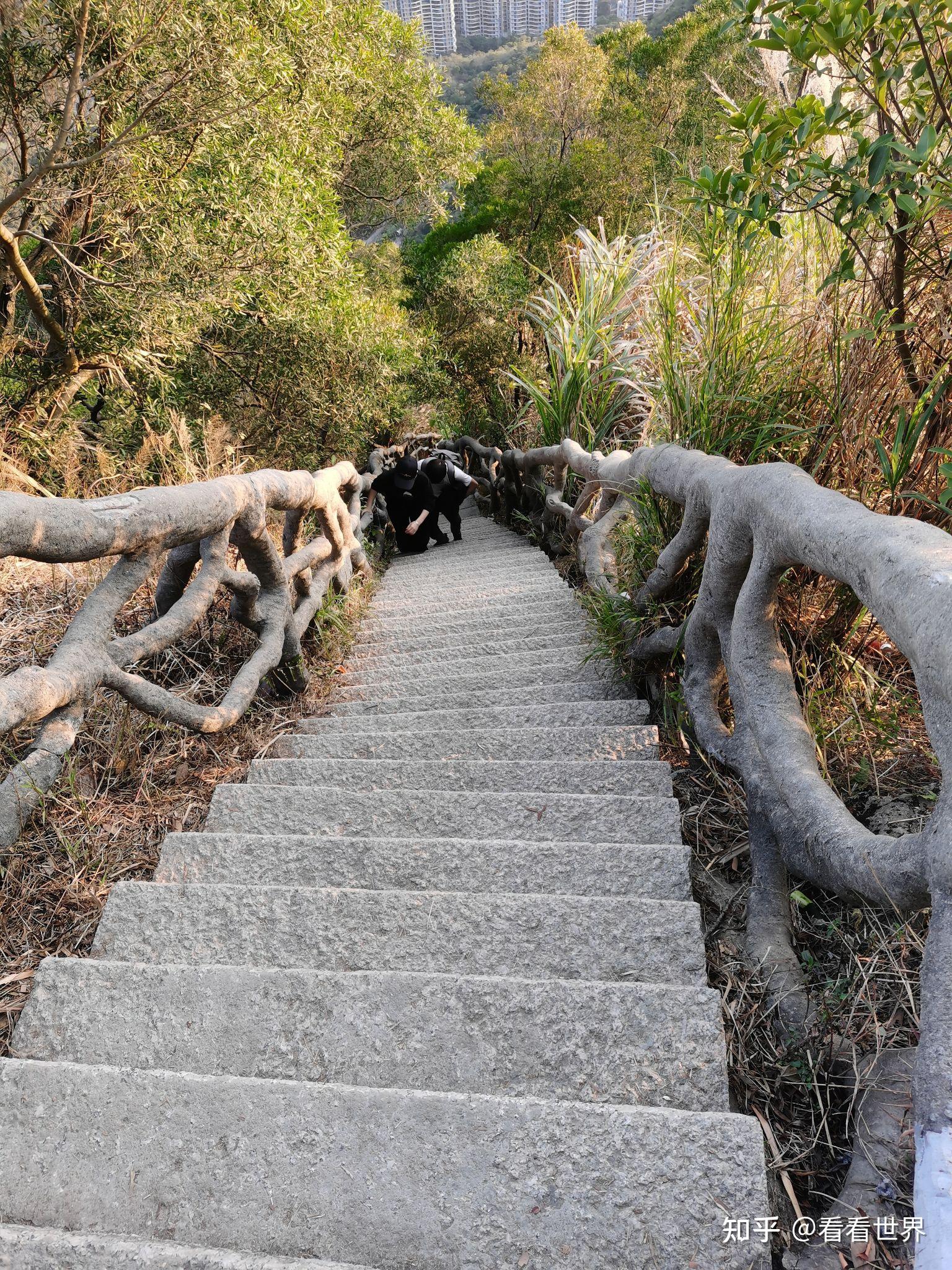 梧桐山问鼎之路(线路攻略) - 知乎