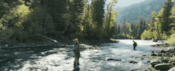 《麦迪逊河谷》豆瓣8.3！“黄石宇宙”新作来袭