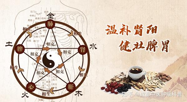 成都东区中医肿瘤医院段心好：揭秘中医七情与肝肿瘤的关系 - 知乎