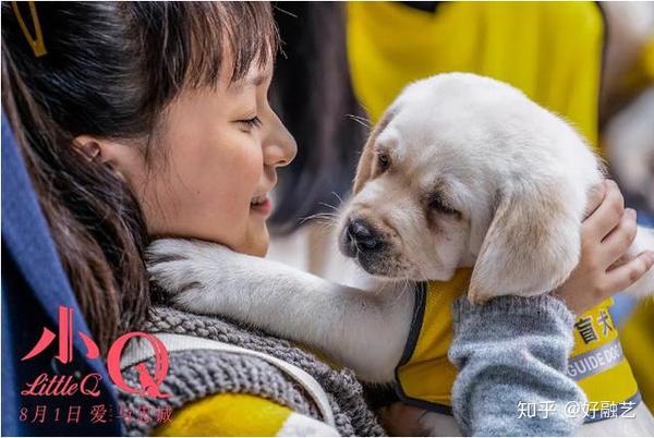 被刀刺都没流泪的硬汉任达华 竟因为它而流泪了 知乎
