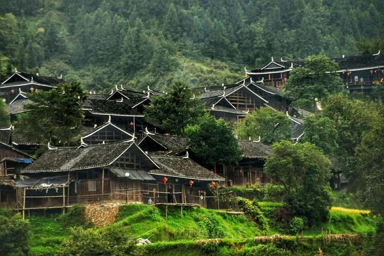 巴马王家揭秘瑶医精粹