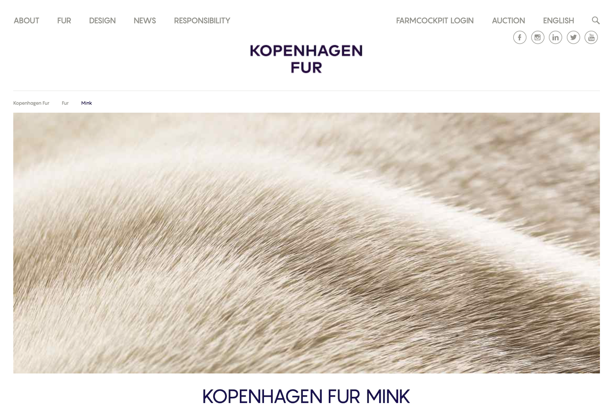 kopenhagen fur 的关闭,代表着丹麦一个时代的结束,直到上周之前,丹麦