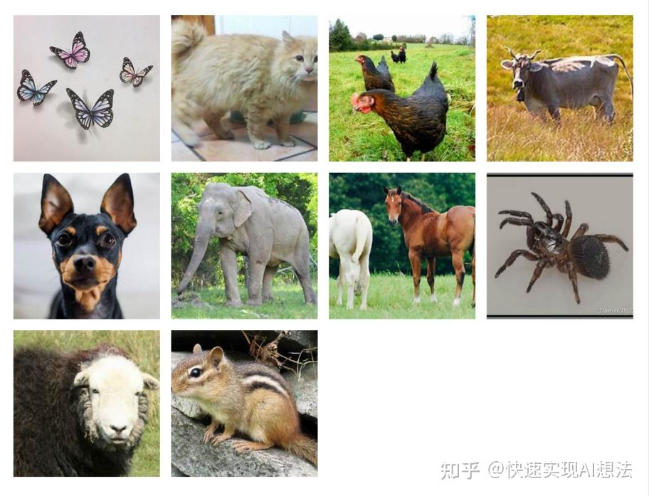 數據集是一個用於多分類任務的動物圖像數據集,包含10種不同動物的