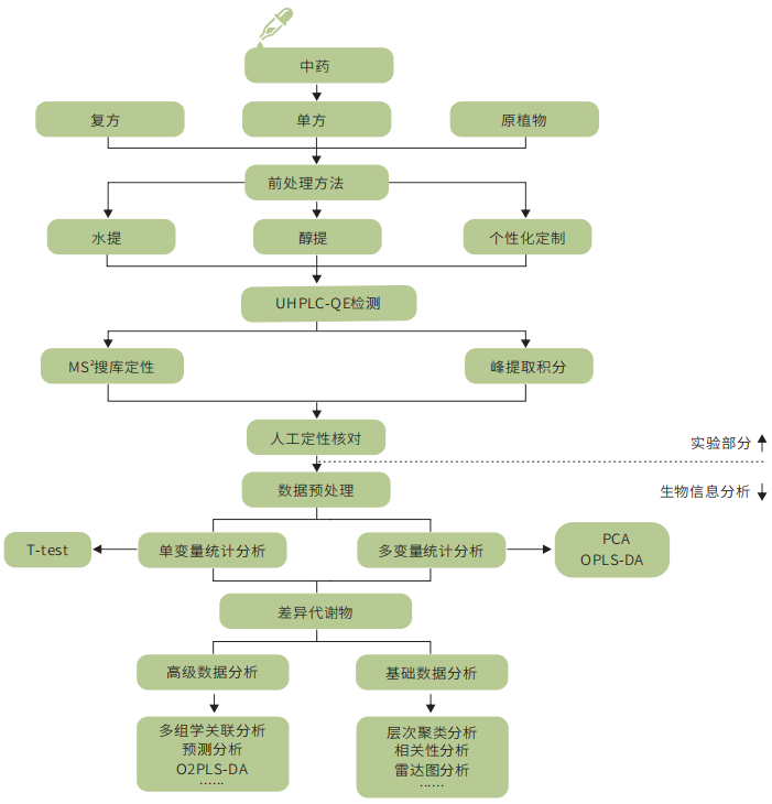 技術介紹中藥非靶標代謝組學技術路線及研究意義