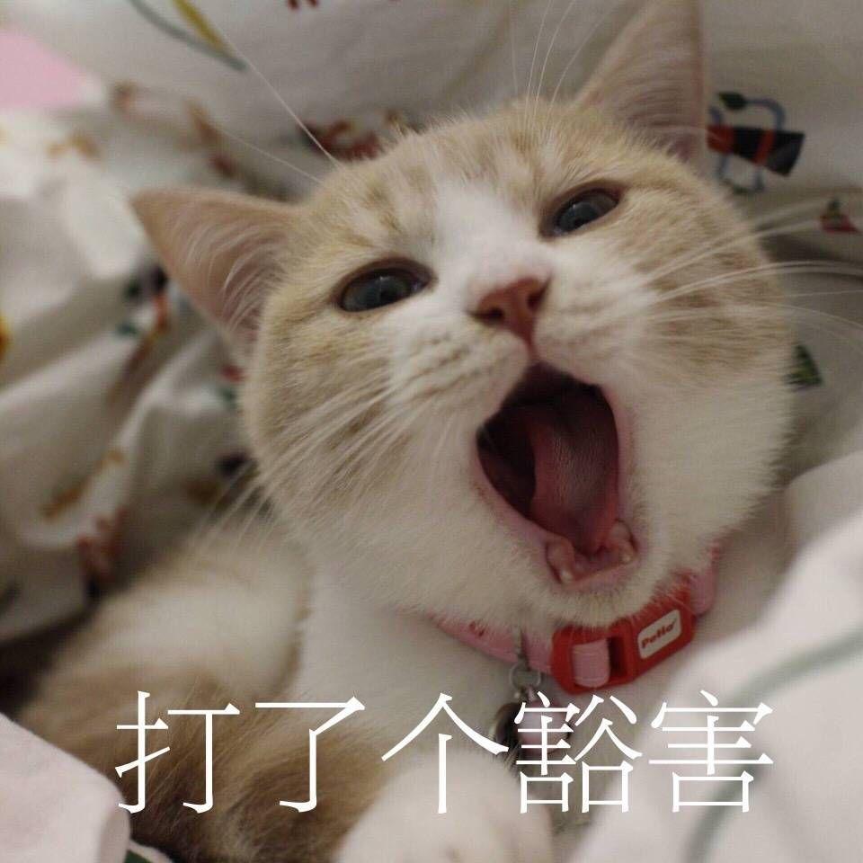 当杠精是一种怎样的体验