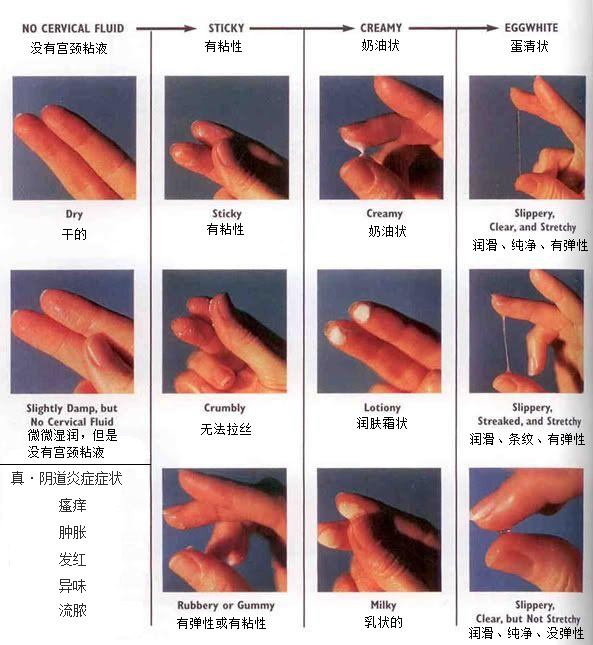生育