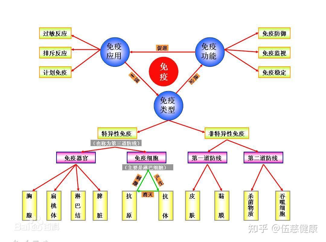 增强免疫系统