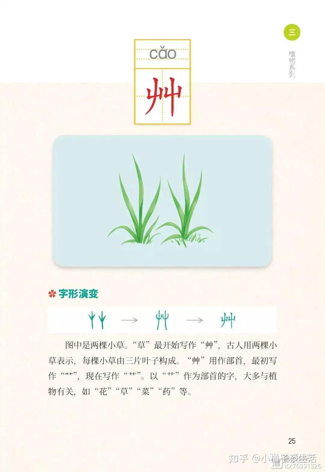 “屮艸芔茻”,这几个字怎么读?每个字含义是什么?你了解吗 - 知乎
