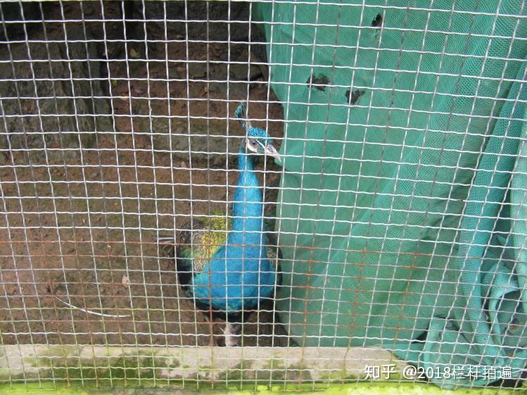 电视剧《西游记》外景地:安县-罗浮山 (中)