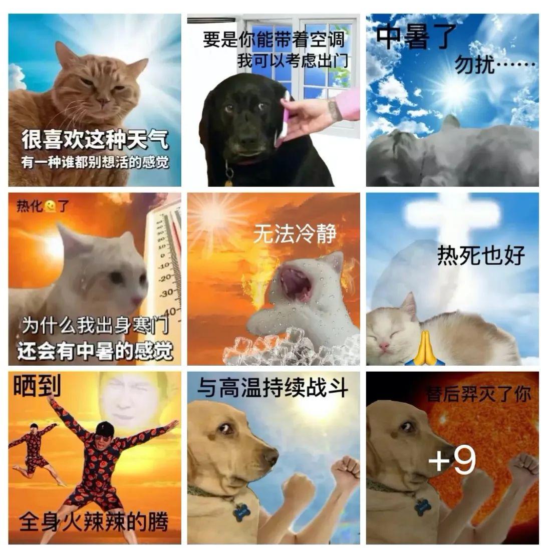 发疯文学，年轻人的减压阀 - 知乎
