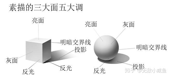 明暗五调子怎么画图片