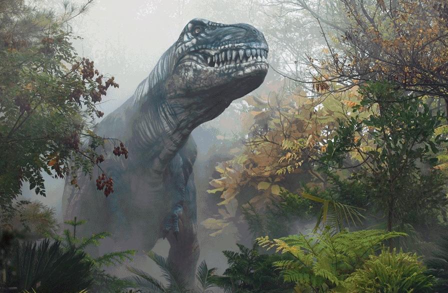 除了恐龙化石还有什么化石