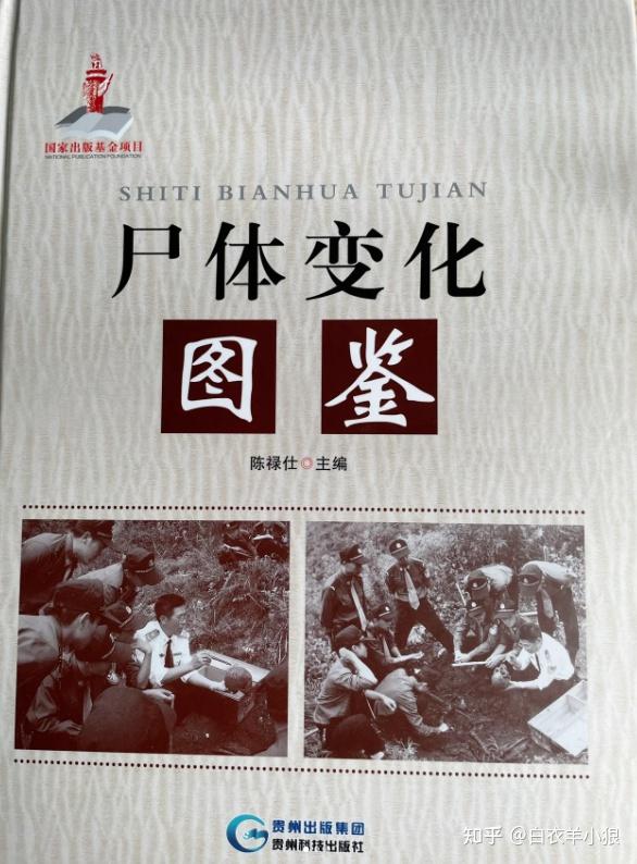 法医永远的神!(这本书不要轻易冲) - 知乎