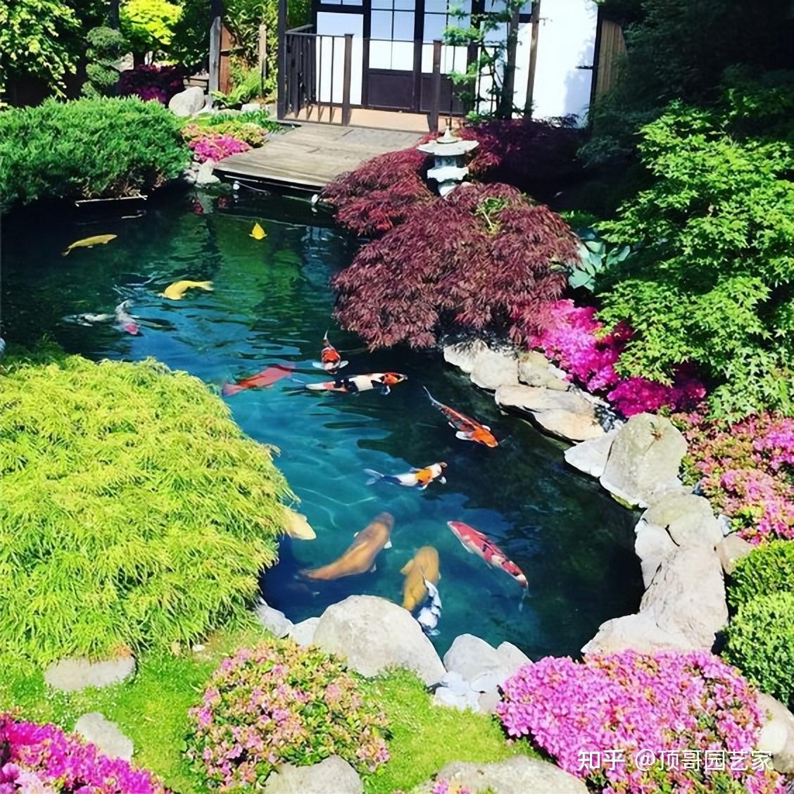8个私家庭院“景观鱼池”设计案例，想要自建鱼池的可参考！ _业主