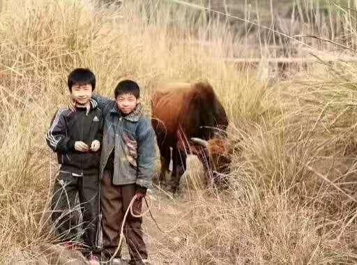 聊聊我们没有社会背景不是拆二代也不是富二代的农村人感受吧