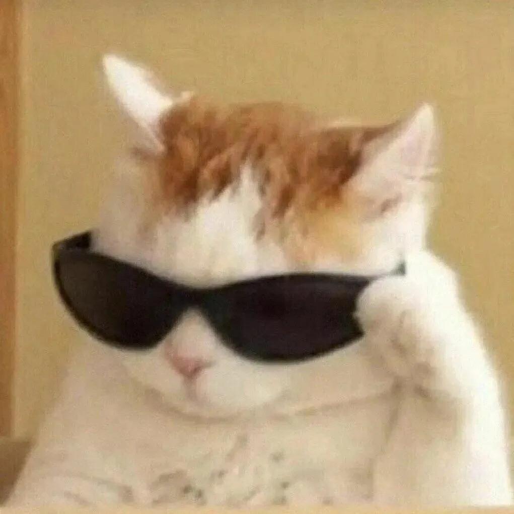 有没有高逼格小众好看头像