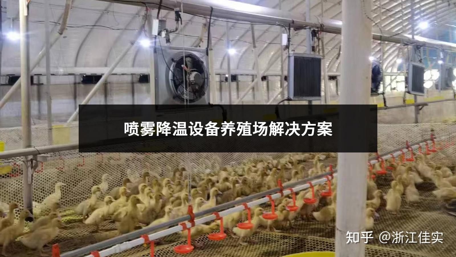 喷雾降温设备养殖场解决方案