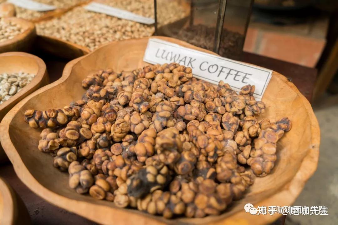 我们喝进嘴的猫屎咖啡现状