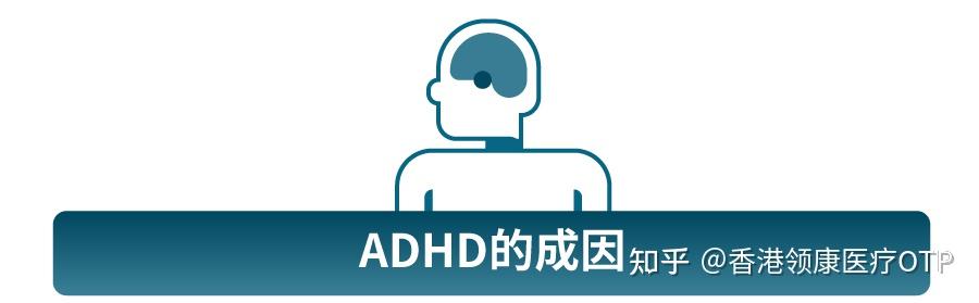 儿童心理|精神科医生解读:注意缺陷与多动障碍(ADHD)的症状和成因 - 知乎