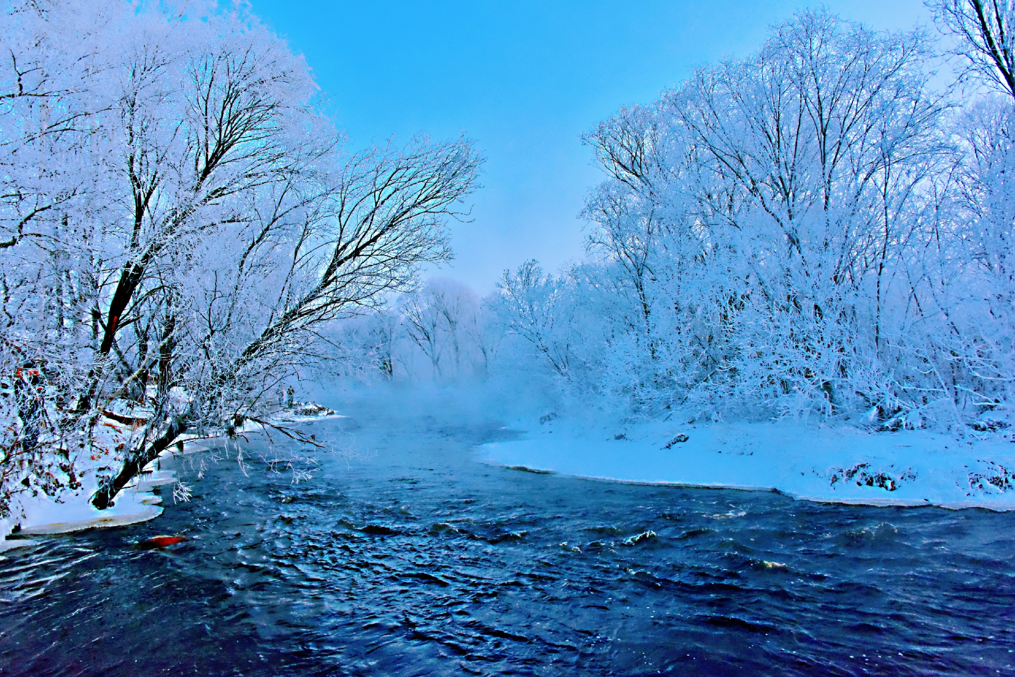 惊艳的雾凇——黑龙江黑河逊克县克林乡大平台村库尔滨河沿岸的雾凇