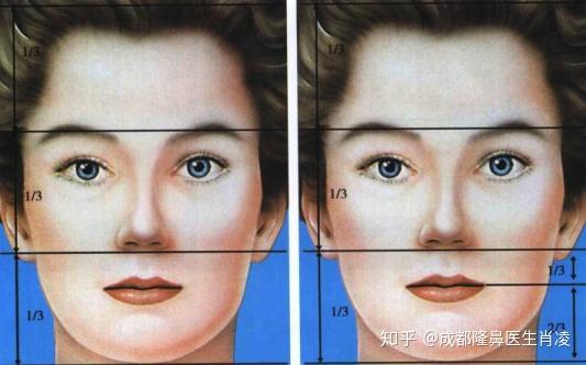 专业面部美学分析正面侧面