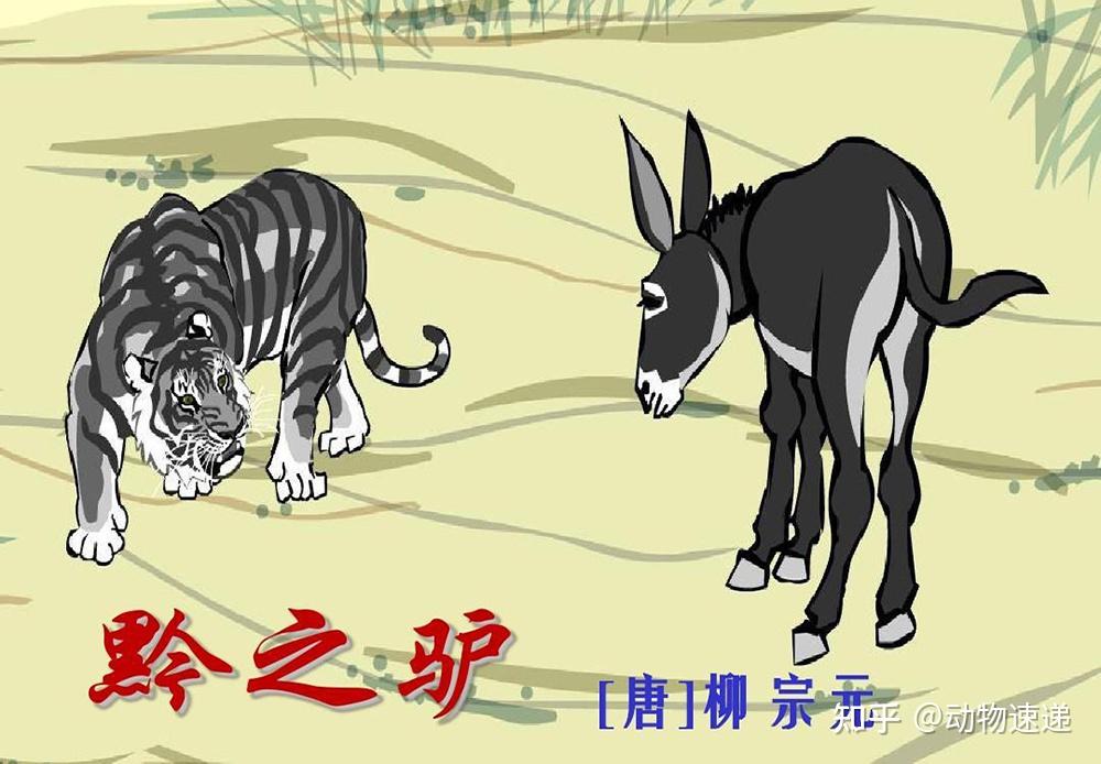 初中的时候我们学过一篇名为《黔之驴》的课文,大致意思就是讲有好事