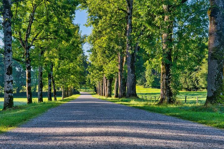 新手上高速慢车道跑805