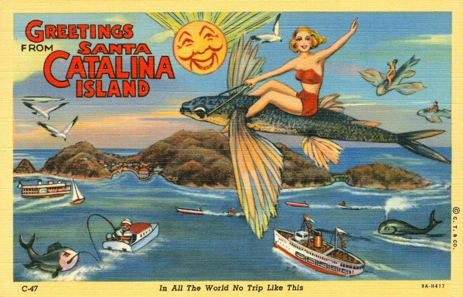 西海岸不止有美国梦还有野兽啊之自驾指南 -