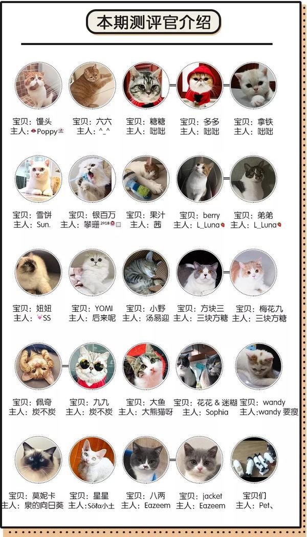 猫奴评价最高的猫砂来了 你也这么认为吗 知乎