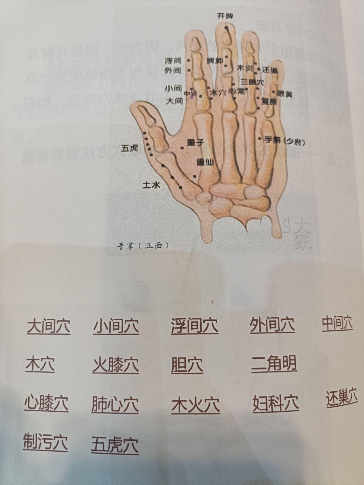 董针心门位置图图片