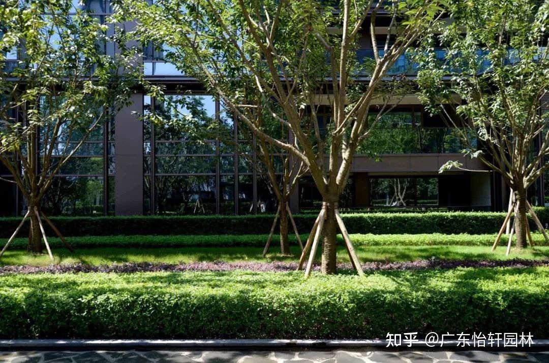 今天讲讲在园林绿化设计中的植物空间应该如何营造 - 知乎