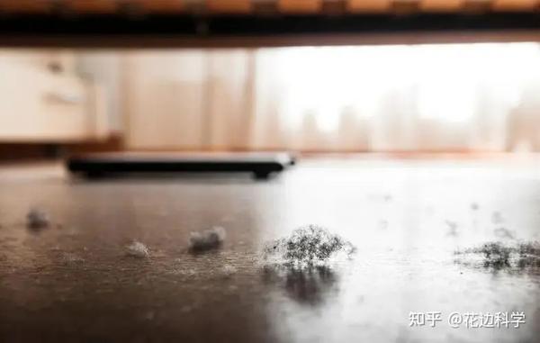 你家里隐藏着多少“看不见的”灰尘?家居清洁,这是一个大问题 - 知乎