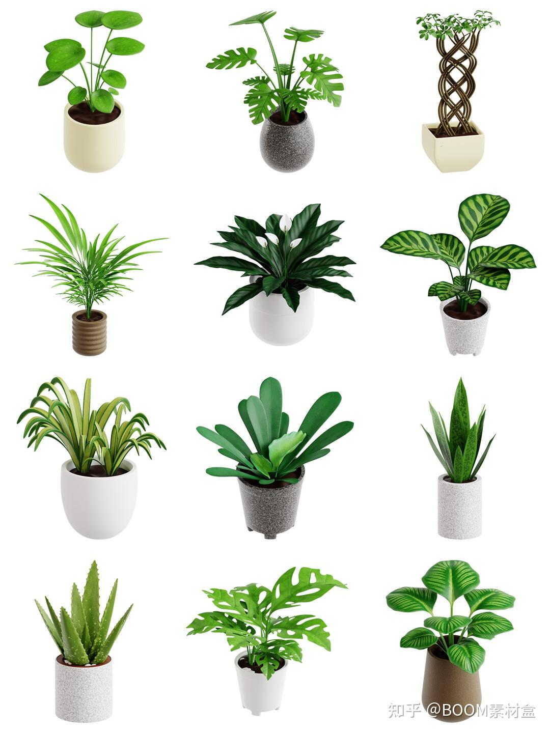 素材分享丨卡通创意室内绿植植物盆栽3D插图icons图标OBJ格式PNG免抠素材 - 知乎
