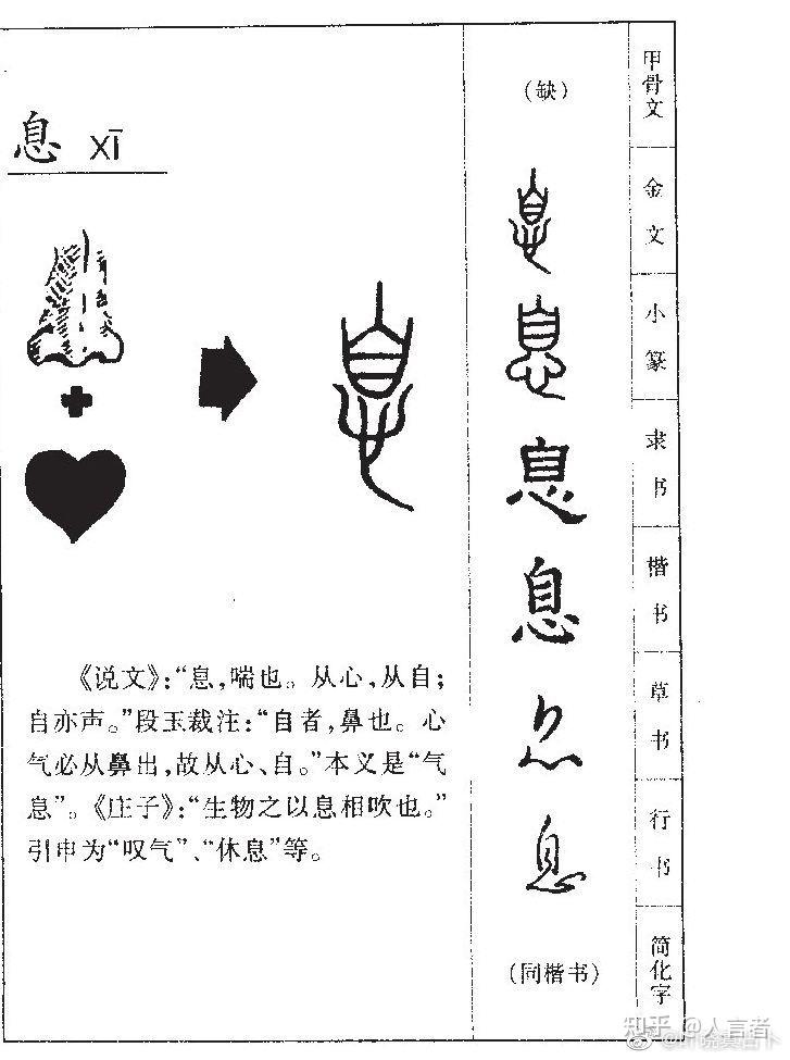 休的演变过程图片图片