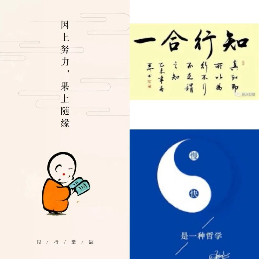 知行合一,慢即是快.