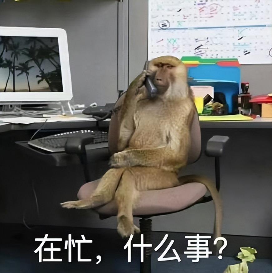 仿佛一夜之间,"吗喽"风靡了整个年轻人的生活圈,各种"吗喽"表情包占据