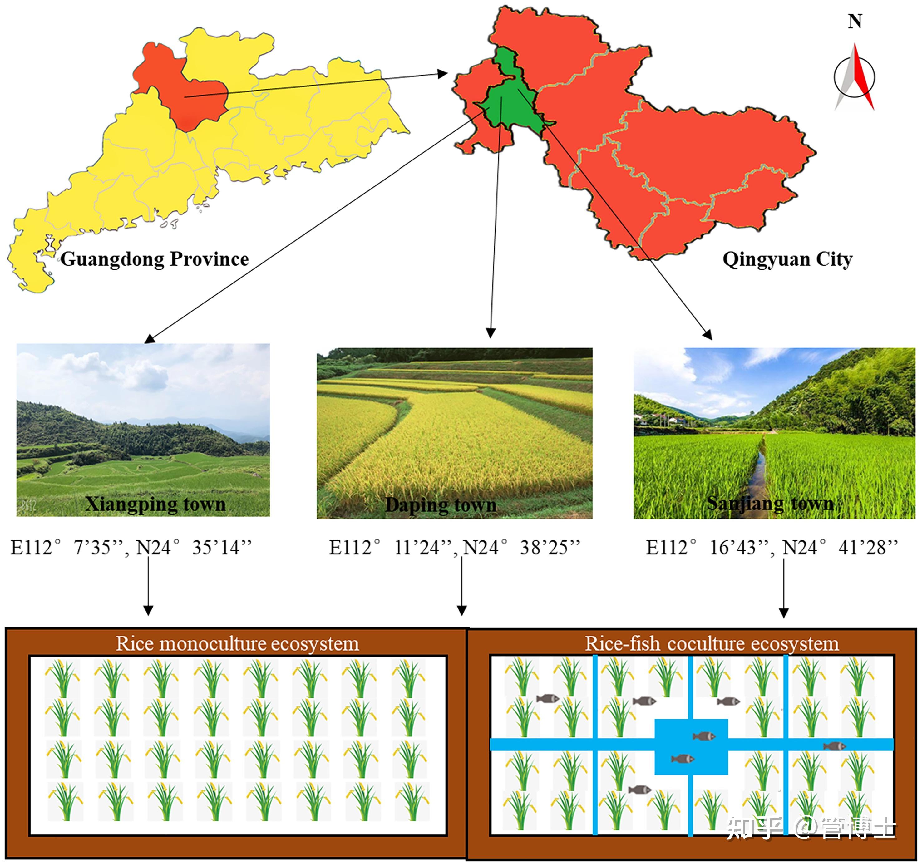 生态系统方法评价稻鱼共育系统的生态机制及优化策略 - 知乎