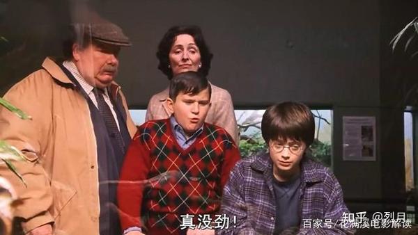 哈利波特在姨妈家里,到底算不算受到了虐待? - 知乎