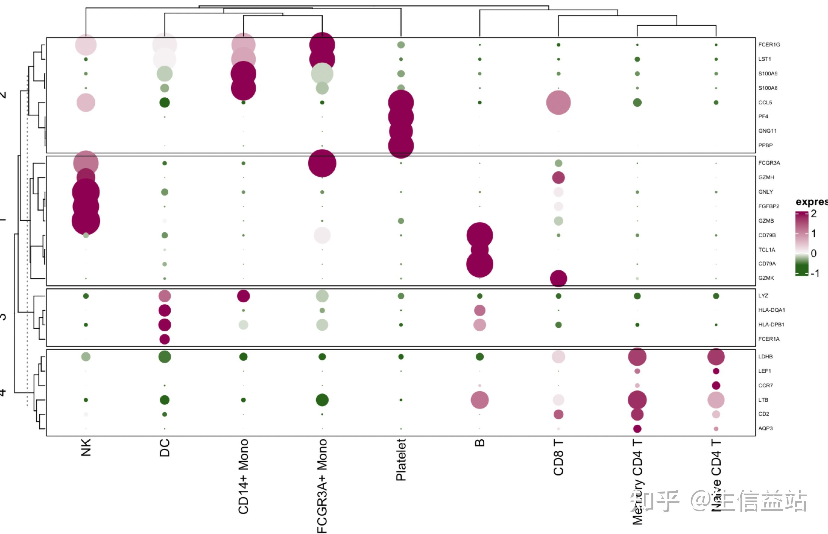 R绘图技巧30| ComplexHeatmap版本的复杂DotPlot(一) - 知乎
