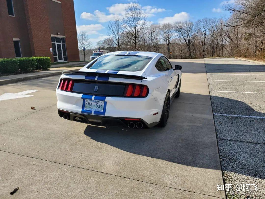 现在可能是入手福特野马谢尔比 gt350 的最佳时刻!