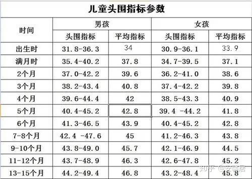 儿童脑垂体大小图片