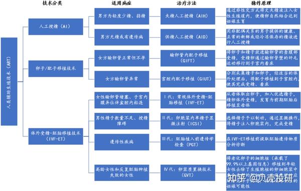 三胎又来了 知乎