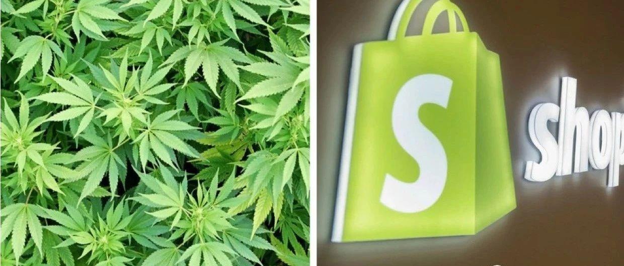 这些独立站大麻操作 骚断了我的腰 知乎 这些独立站大麻操作 骚断了我的腰 知乎
