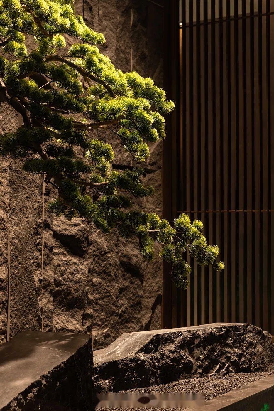 范江 | 繁华里,心归处—紫蝴蝶养生会所皇冠店