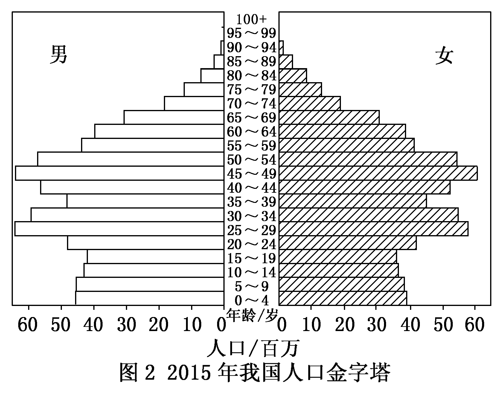 请描述该人口金字塔的形状特点,并说明形