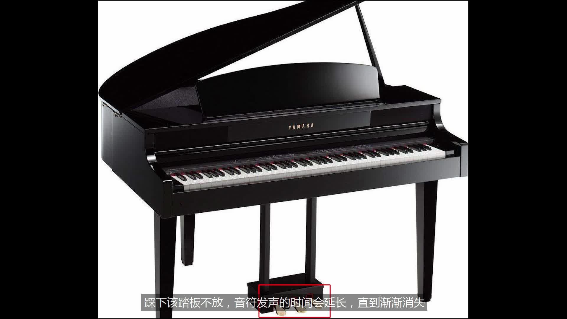 【cubase教程】认识编曲软件的钢琴卷帘窗界面