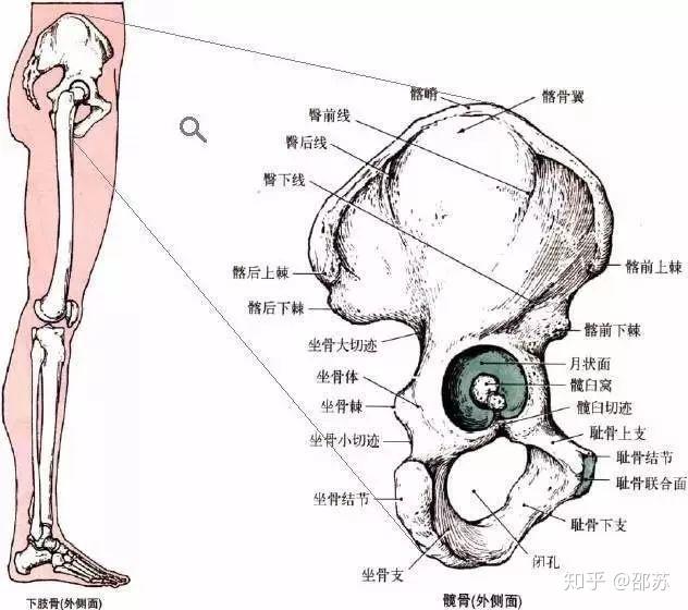 硬拉小改造