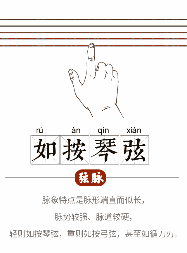 二十八种脉象(动态图解)歌诀 - 知乎