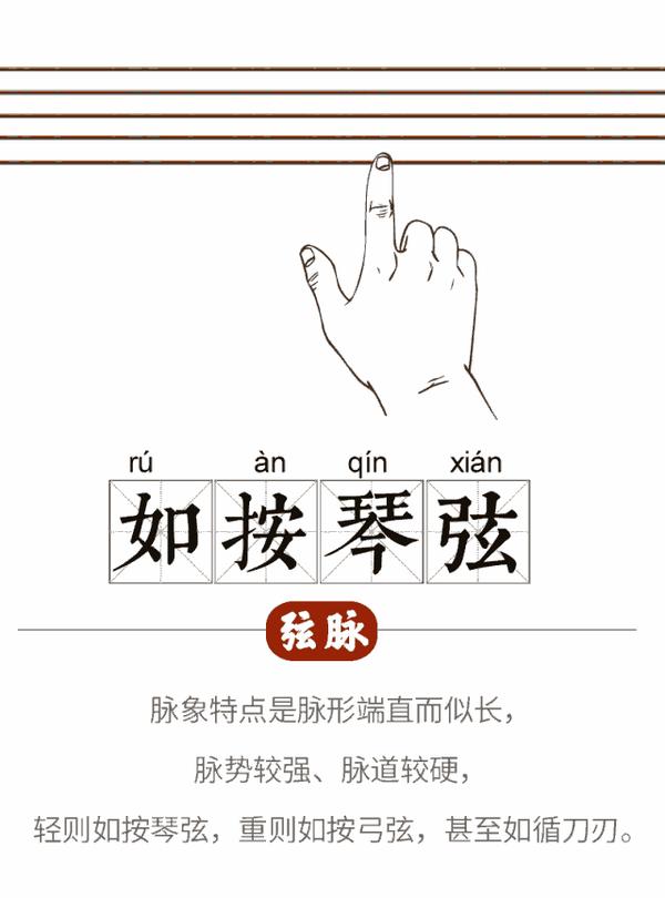 二十八种脉象(动态图解)歌诀 - 知乎