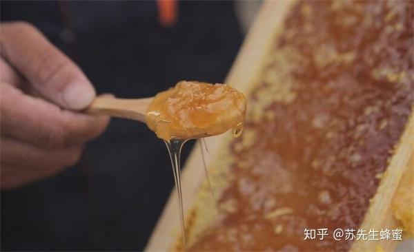 吃了薄荷糖能不能吃蜂蜜?蜂蜜和薄荷糖能一起吃吗?看完就知道了- 知乎